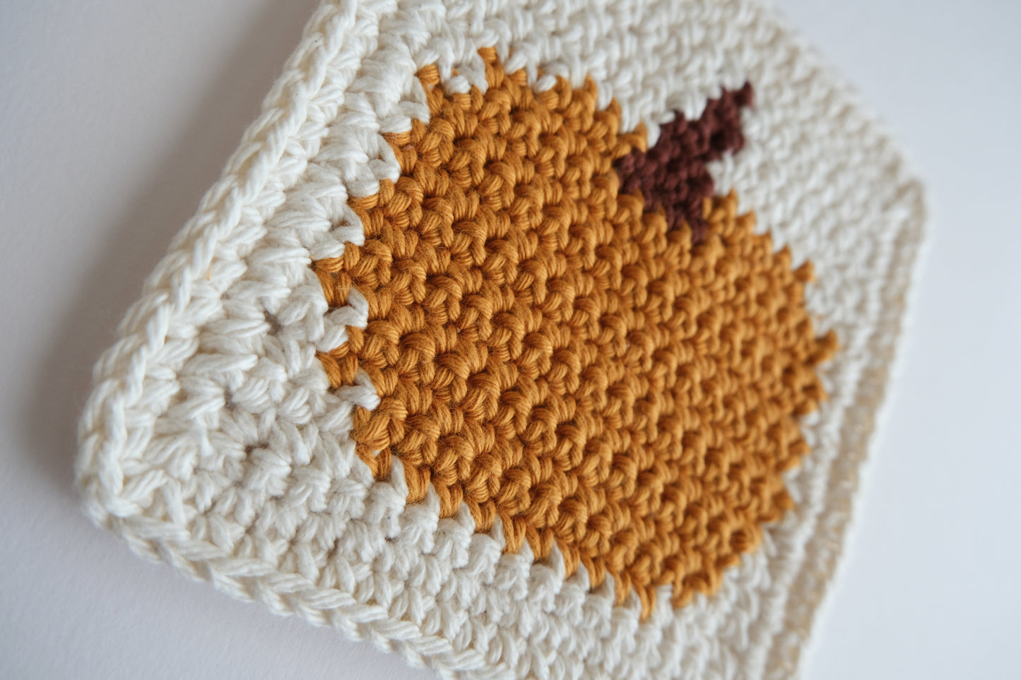 Pumpkin 🎃 Pot Holder Crochet Pattern