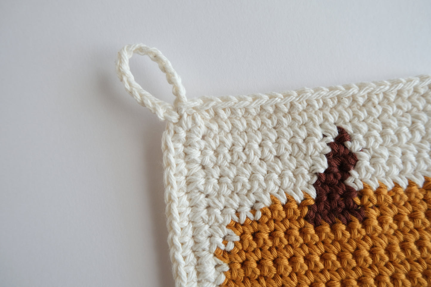 Pumpkin 🎃 Pot Holder Crochet Pattern